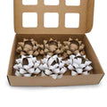 Load image into Gallery viewer, EcoVibe Paper Parcel Bows