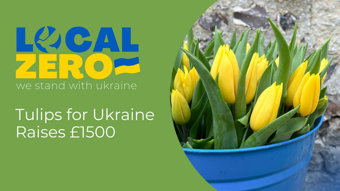 Local Zero & Featherstone's sell Tulips For Ukraine