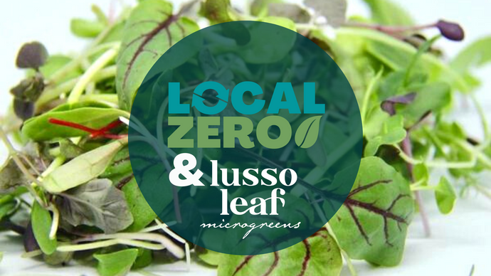 Local Zero partner with Lusso Leaf for delicious & nutritious micro-greens