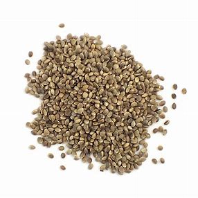 Hemp Seeds