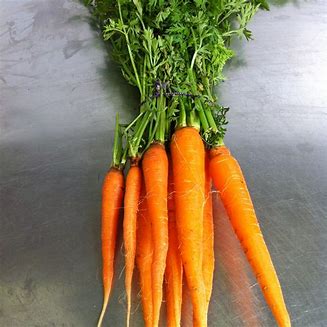 Bunch Carrots