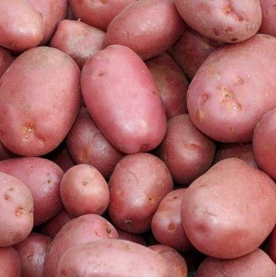 Desiree Potatoes