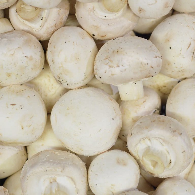 English White Cup Mushrooms