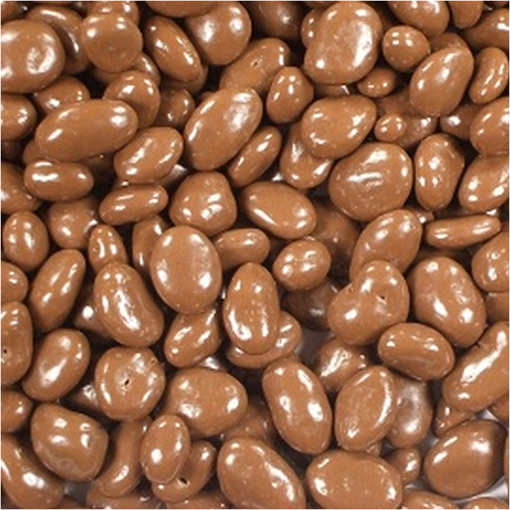 Chocolate Coated Raisins