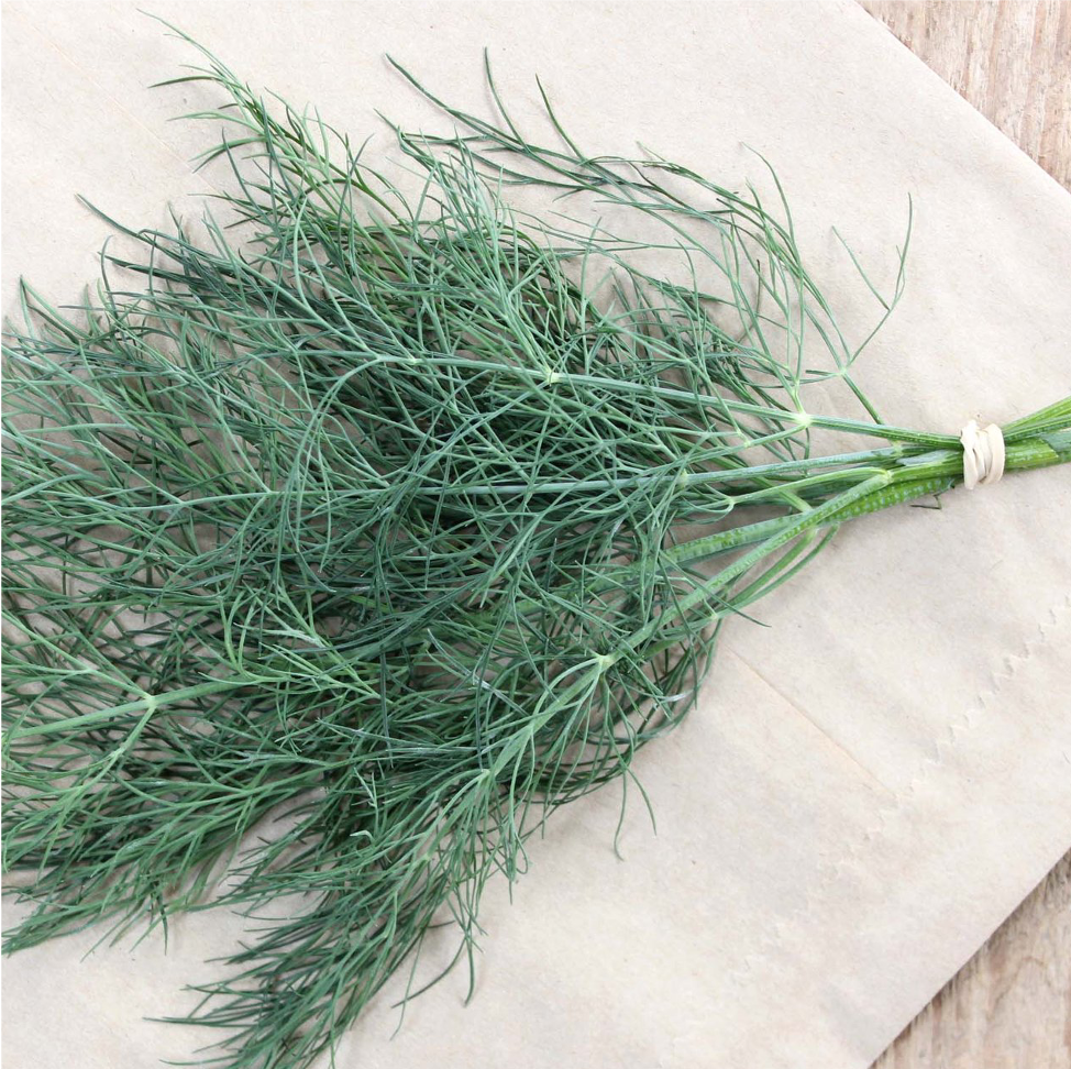 Dill Bunch