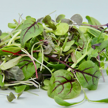Load image into Gallery viewer, MicroMix Microgreens Punnet
