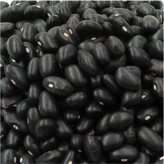 Black Turtle Beans