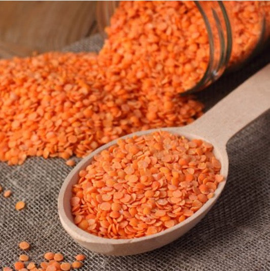 Red Lentils