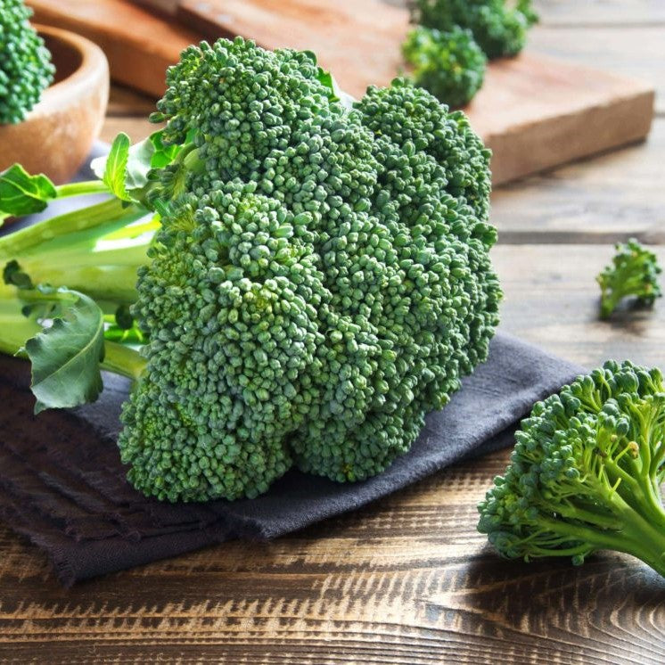 Calabrese Broccoli