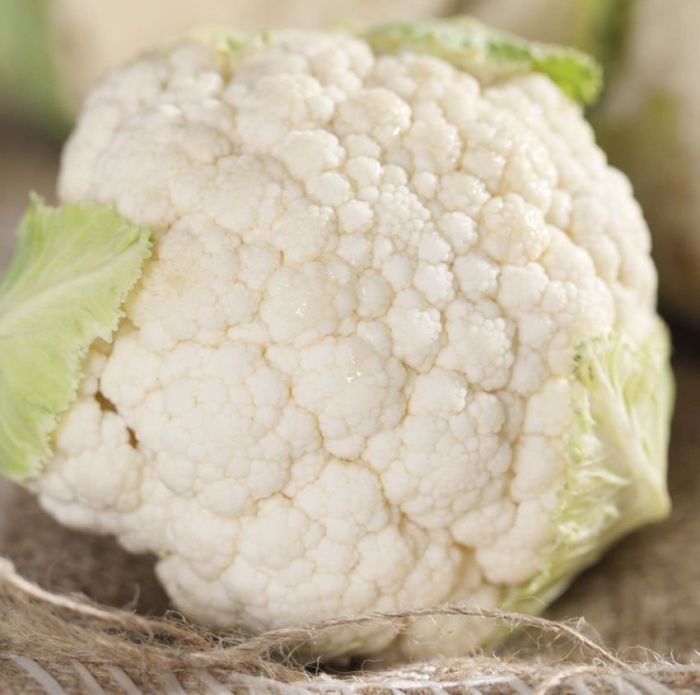 English Cauliflower