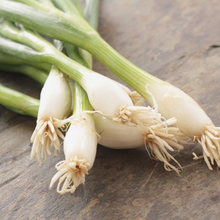 Load image into Gallery viewer, Spring Onions 125g
