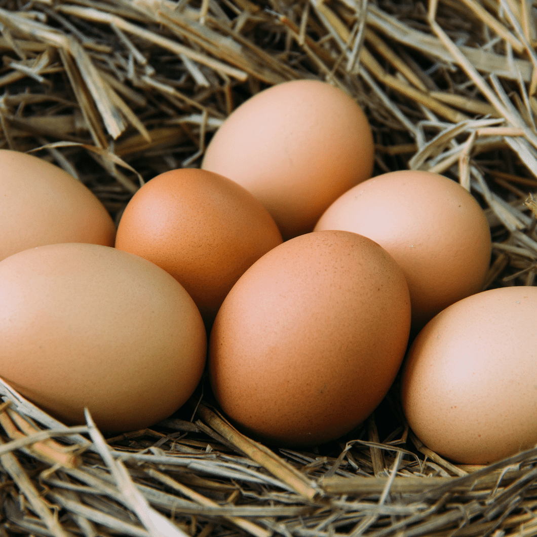 Fresh Hampshire Hen's Eggs